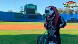 Tibu deja el futbol para ser una de las mascotas más simpáticas del béisbol.