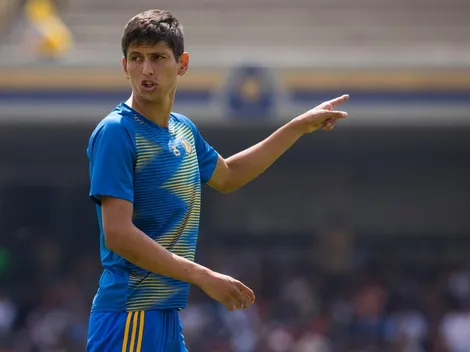 Alerta en Tigres: la AMFpro respaldó a Jürgen Damm