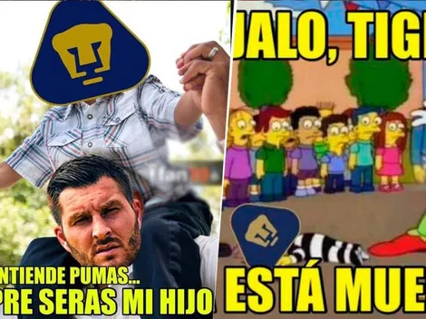 Tigres goleó a Pumas por André-Pierre Gignac y los memes no perdonaron