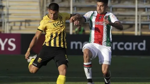 Ver en VIVO Guaraní vs. Palestino por la Copa Libertadores
