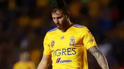 La prensa local destrozó a los Felino