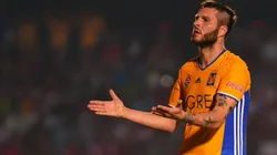 Afortunadamente los felinos sí contarán con su goleador