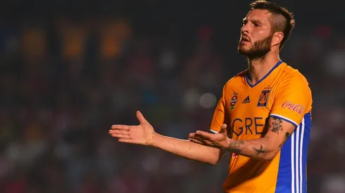 Afortunadamente los felinos sí contarán con su goleador