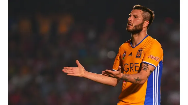 Afortunadamente los felinos sí contarán con su goleador