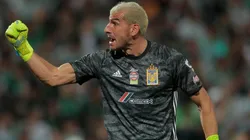 El veredicto de Brizio por la polémica de Guzmán