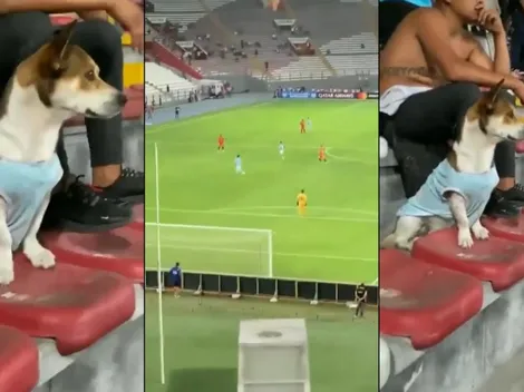 "Firulais" se puso la celeste y fue a alentar a Sporting Cristal