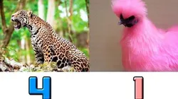 Ni la derrota de Colombia salvó a Millos: lo mejores memes tras perder con Jaguares