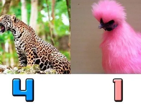 Ni la derrota de Colombia salvó a Millos: lo mejores memes tras perder con Jaguares