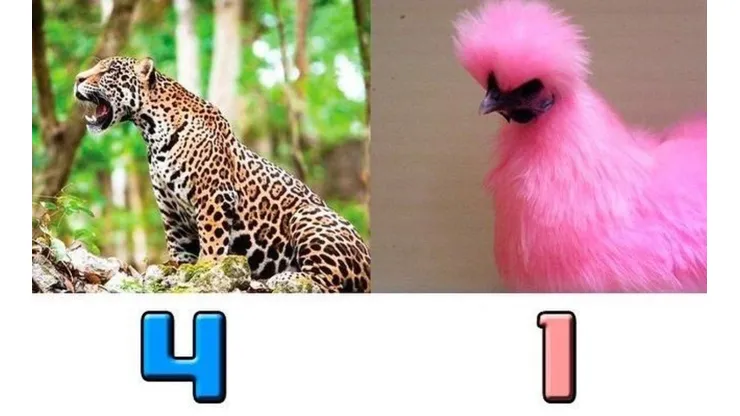 Ni la derrota de Colombia salvó a Millos: lo mejores memes tras perder con Jaguares