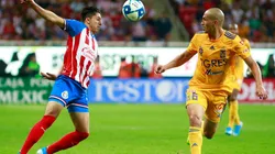 Tigres UANL vs. Chivas Guadalajara (Foto: Jam Media)