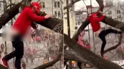 Fanático de Chiefs mostró el trasero y cayó de un árbol en plena celebración