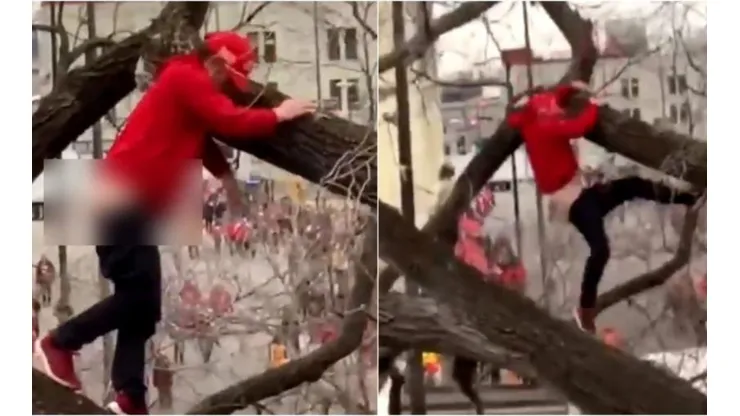Fanático de Chiefs mostró el trasero y cayó de un árbol en plena celebración