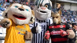 Tigre Peluche de Tigres, Monty de Monterrey y Xolos Mayor de Tijuana.