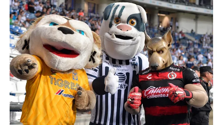 Tigre Peluche de Tigres, Monty de Monterrey y Xolos Mayor de Tijuana.