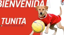 Atlético San Luis presentó a un refuerzo muy particular