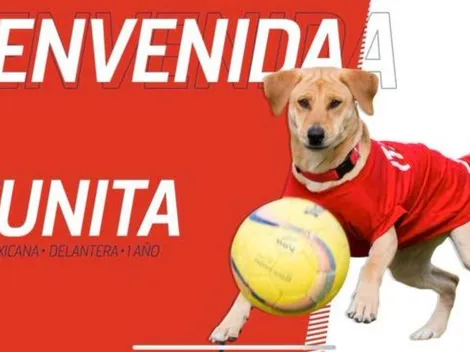 Atlético San Luis presentó a un refuerzo muy particular