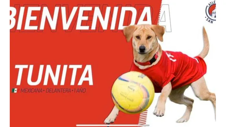 Atlético San Luis presentó a un refuerzo muy particular