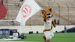 Garrita es la mascota representativa de los Cremas.