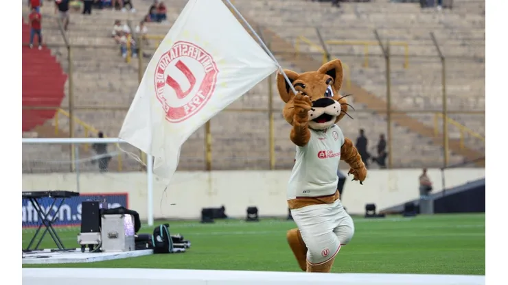 Garrita es la mascota representativa de los Cremas.