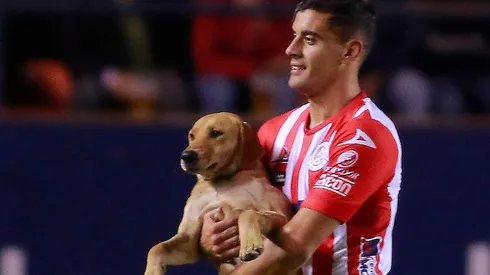 ¡Se perdió la perra que invadió en San Luis - Cruz Azul!