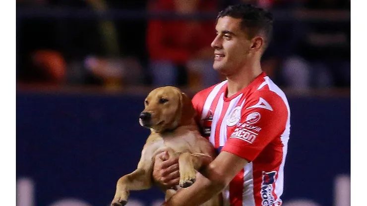 ¡Se perdió la perra que invadió en San Luis - Cruz Azul!