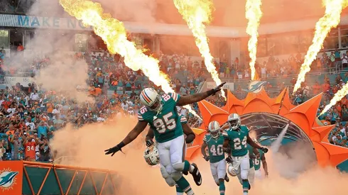 Los fanáticos de los Dolphins deben estar contentos.
