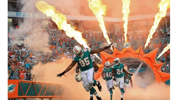 Los fanáticos de los Dolphins deben estar contentos.