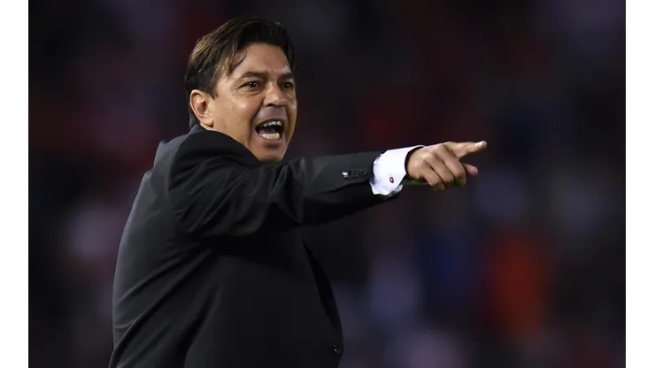 Marcelo Gallardo, director técnico de River.