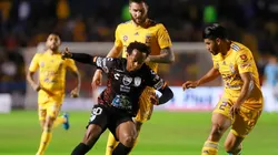 Tigres UANL prestó a dos futbolistas de su plantilla a Venado F.C.