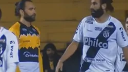 Estallamos de risa: las mejores curiosidades del 2019