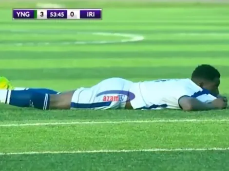 Video: todos al suelo por una invasión de abejas en África