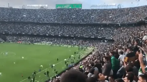 Gran gesto: la hinchada del Betis tiró peluches a la cancha para donarlos