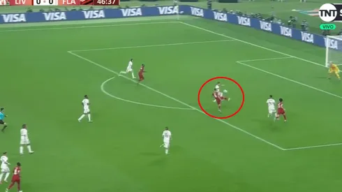 Foto de la definición de Firmino.