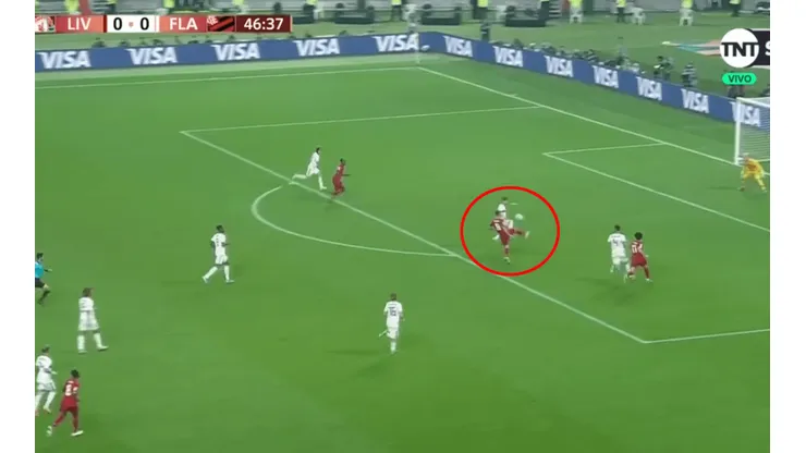 Foto de la definición de Firmino.
