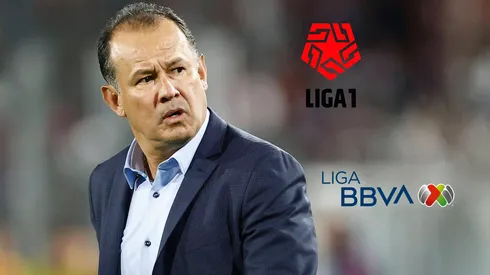 Juan Reynoso - BV Edit