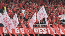 Hinchas del América de Cali en el Pascual Guerrero.