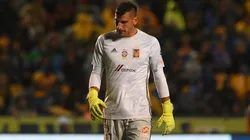 Desesperados: la afición de Tigres organizó una peregrinación a la Basílica para pedir por Nahuel Guzmán