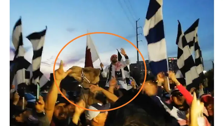 Hasta un camello estuvo presente en un inédito encuentro de los hinchas de Rayados.
