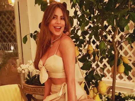 Sofía Vergara tiró una elegante foto y se ganó muchos halagos por su belleza