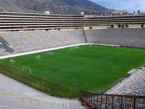 Creció una planta en una butaca del estadio Monumental y trolearon a los hinchas de la U