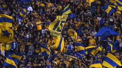Afición de Tigres