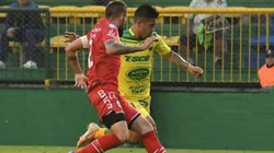 Reparto de puntos entre Halcones y Bichos.