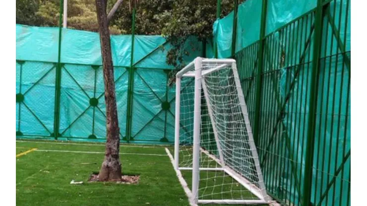 La insólita cancha de fútbol que construyó la Alcaldía de Bogotá con árboles incluidos
