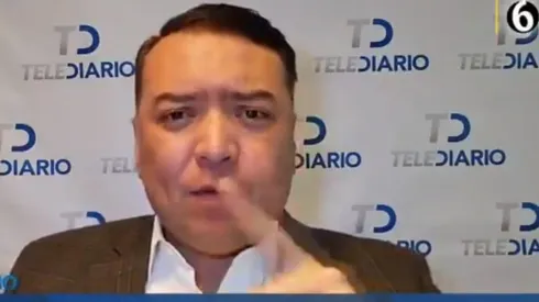 ¡No sufran, felinos!