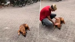 Magia pura: ¡hizo real el filtro del perro en Instagram!