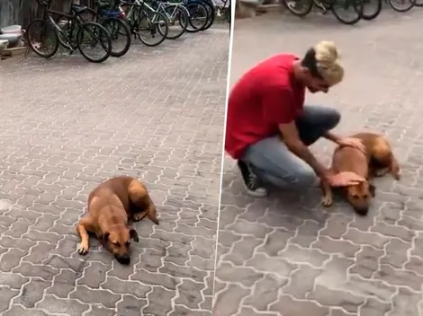 Magia pura: ¡hizo real el filtro del perro en Instagram!