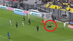 ¡No, Carlos! Salcedo, en contra, le dio el empate a Panamá