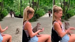 Video viral: ella quiso engañarlo pero este mono se puso diabólico