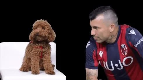 Acariciando a un caniche: así presentaron a Medel en su nuevo equipo