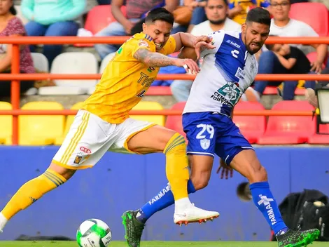 "Sólo nos enfocamos en las virtudes de Salcedo": Garza